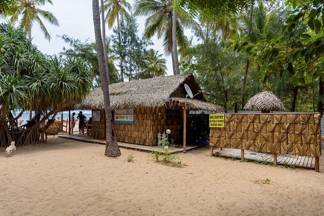 Fun Dives For Certified Divers - The Authentic Marine Encounter