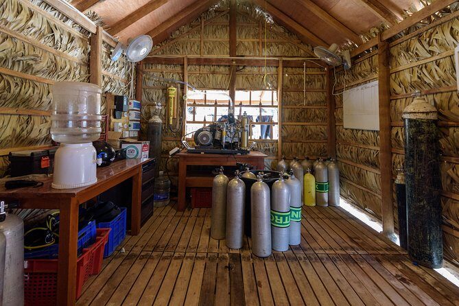 Fun Dives For Certified Divers - Who Will Enjoy This Tour?