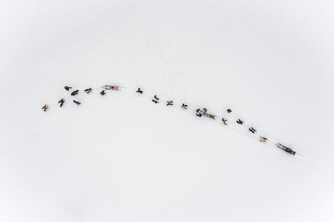 fun-easy-dog-sledding-adventure-early-bird-0810