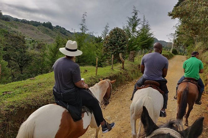fun-horse-rides-near-bogota