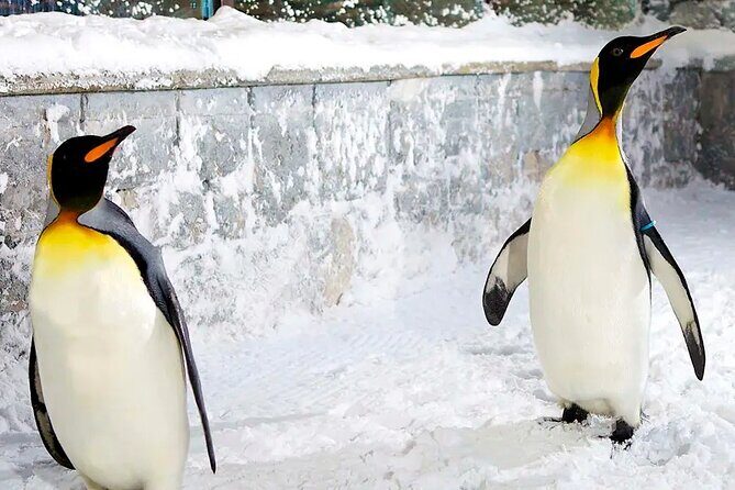 Fun in the Snow - Ski Dubai Tickets - FAQs