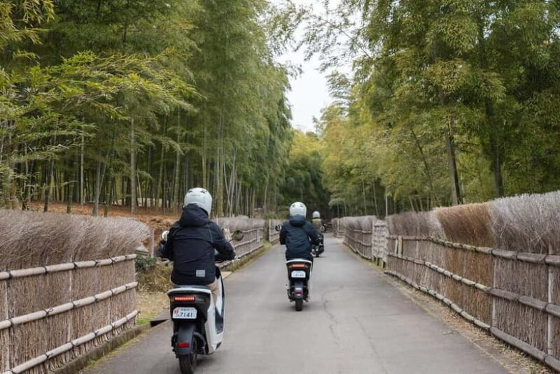 Fun Kyoto Ride! Bamboo Trails, Farm Harvest & Local Eats - Final Word