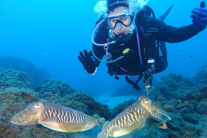 fun-scuba-diving-in-tenerife