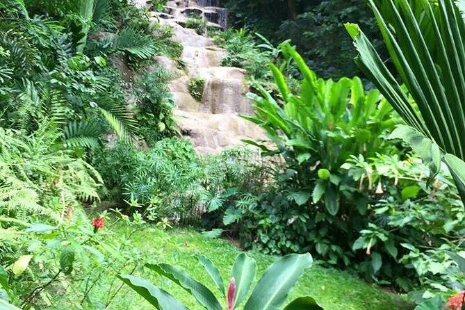 fun-tour-for-kids-with-river-tubing-and-konoko-falls
