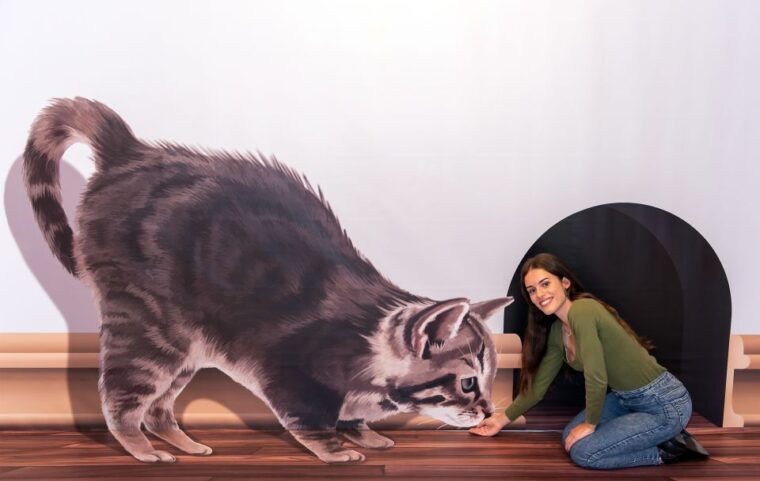 funchal-3d-fun-art-museum