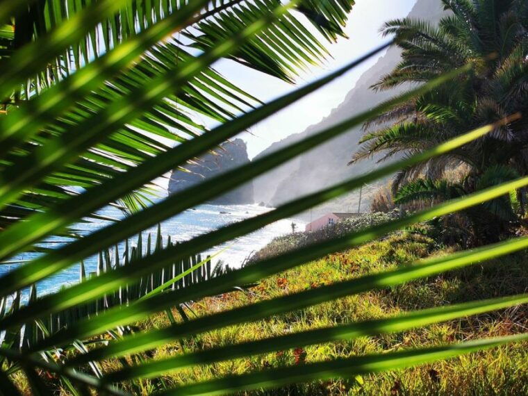 funchal-4x4-jeep-trip-to-the-east-and-northeast-of-madeira