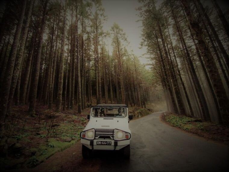 funchal-4x4-jeep-trip-to-the-east-and-northeast-of-madeira