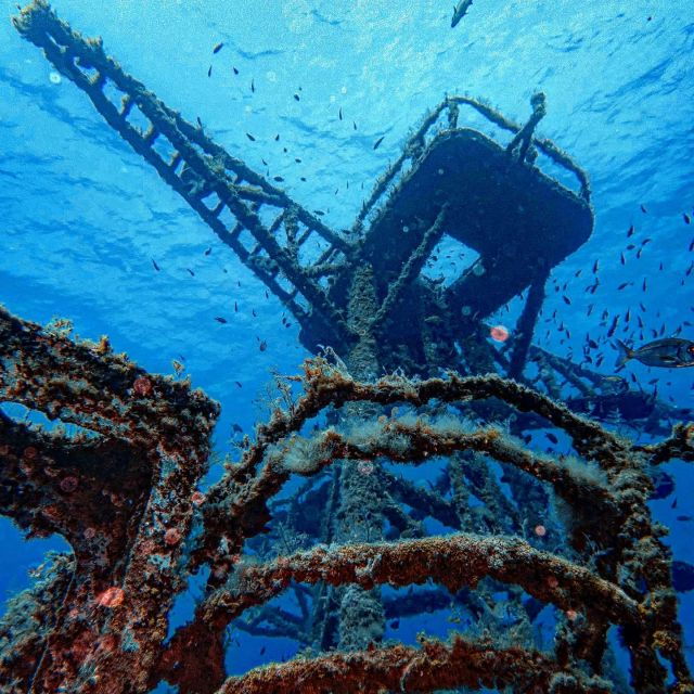 funchal-advanced-scuba-diving-afonso-cerqueira-wreck