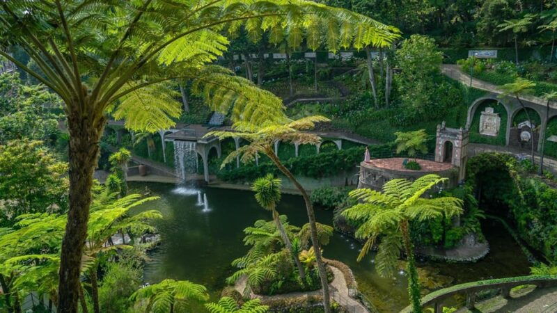 funchal-and-monte-palace-garden-tour