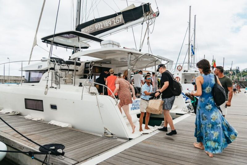 funchal-bay-dolphin-whale-watch-luxury-catamaran-cruise