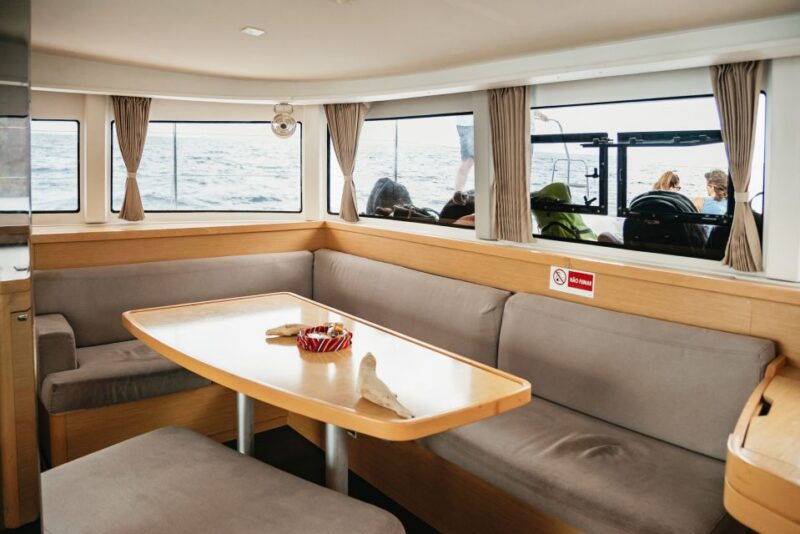 funchal-bay-dolphin-whale-watch-luxury-catamaran-cruise