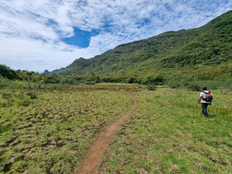 Funchal: Bica da Cana to Encumeada Guided Hike with Pickup - In-Depth Look at the Experience