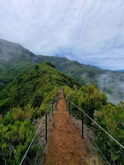 Funchal: Bica da Cana to Encumeada Guided Hike with Pickup - Authentic Experiences & Traveler Insights