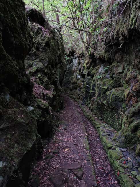 Funchal: Bica da Cana to Encumeada Guided Hike with Pickup - Who Should Consider This Tour?