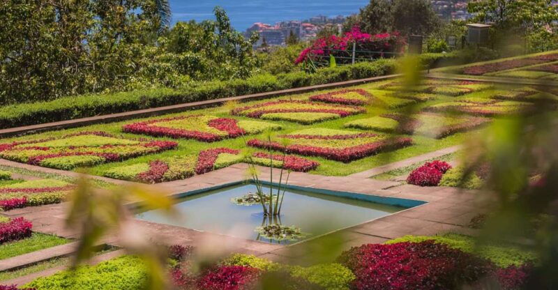funchal-botanical-garden-and-old-town-private-tuk-tuk-tour
