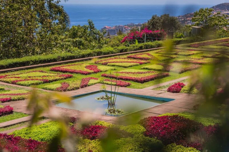 funchal-botanical-garden-and-old-town-private-tuk-tuk-tour