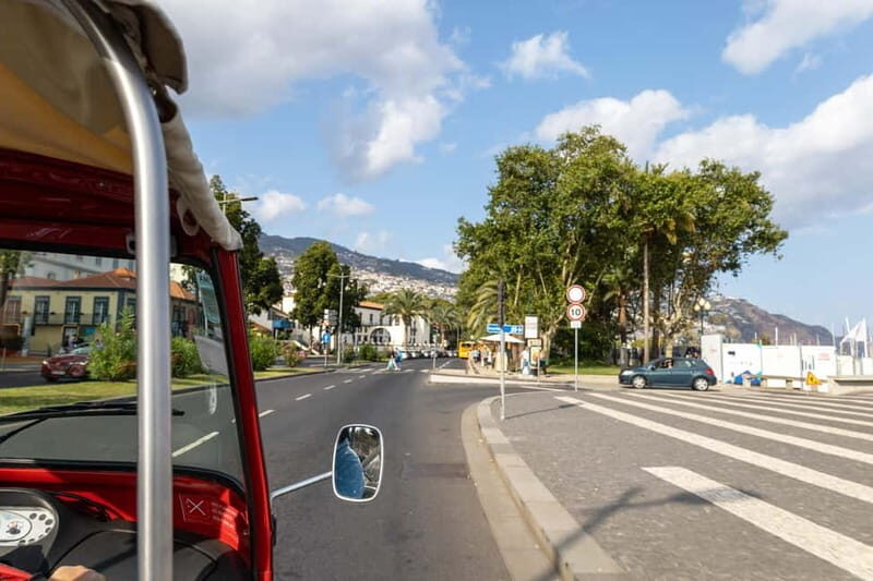 Funchal: Botanical Garden & Old Town Tour by TukTuk (1h45) - Exploring the Itinerary in Detail