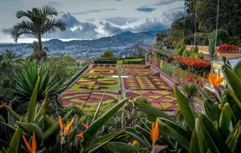 Funchal: Botanical Garden & Old Town Tour by TukTuk (1h45) - Stop 1: Madeira Botanical Garden