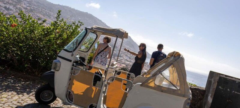 funchal-botanical-garden-tour-by-tuktuk-1h45
