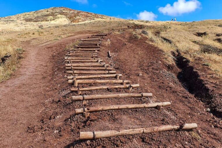 funchal-canical-transfer-for-pr8-hike-sao-lourenco