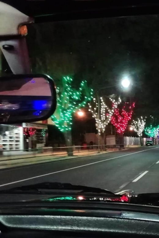 funchal-christmas-lights-sightseeing-night-tour-2