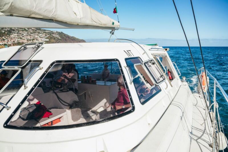 funchal-dolphin-and-whale-watching-by-luxury-catamaran