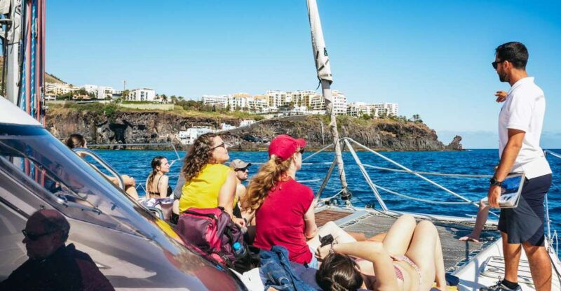 funchal-dolphin-and-whale-watching-by-luxury-catamaran