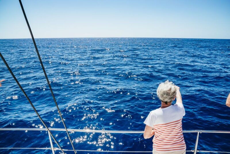 funchal-dolphin-and-whale-watching-by-luxury-catamaran