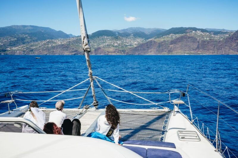 funchal-dolphin-and-whale-watching-by-luxury-catamaran