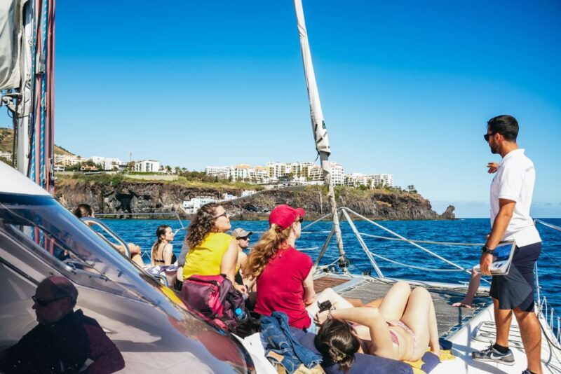 funchal-dolphin-and-whale-watching-by-luxury-catamaran