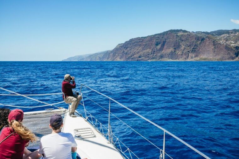 funchal-dolphin-and-whale-watching-by-luxury-catamaran