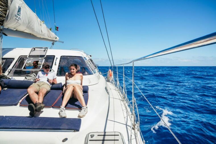 funchal-dolphin-and-whale-watching-by-luxury-catamaran