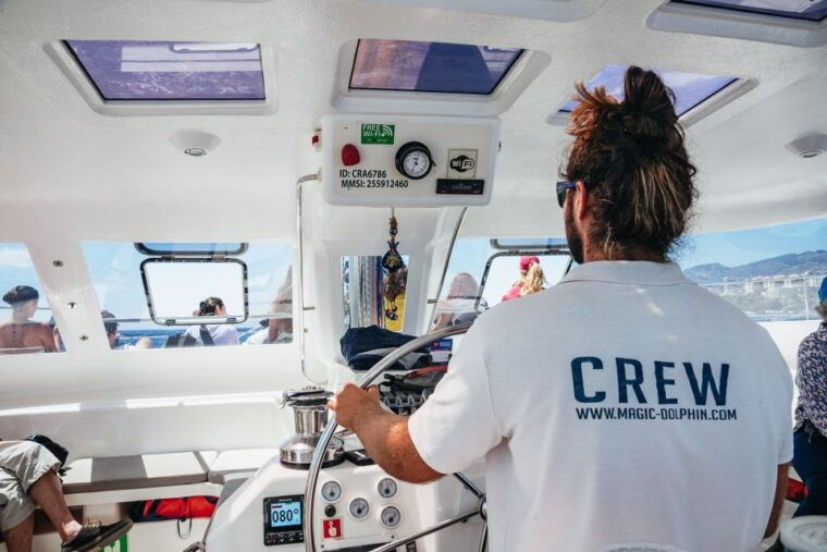 funchal-dolphin-and-whale-watching-by-luxury-catamaran
