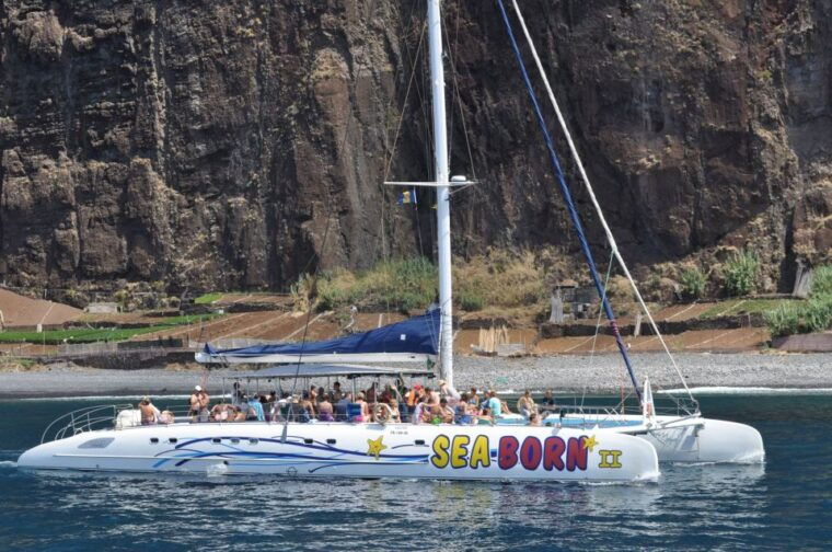 funchal-dolphin-and-whale-watching-catamaran-cruise