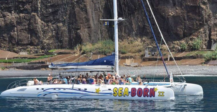 funchal-dolphin-and-whale-watching-catamaran-cruise