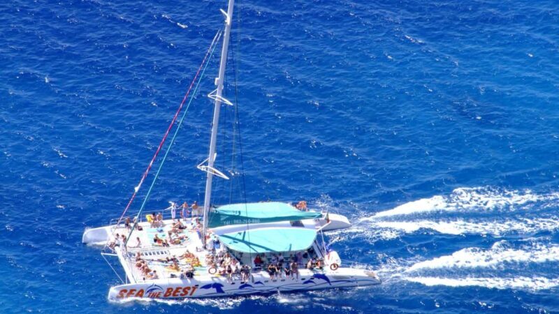 Funchal: Dolphin and Whale-watching Catamaran Tour - What You Can Expect from the Tour
