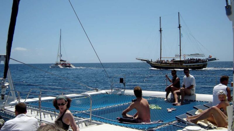 Funchal: Dolphin and Whale-watching Catamaran Tour - Practical Details to Consider