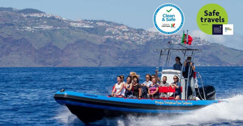 funchal-dolphin-and-whale-watching-cruise