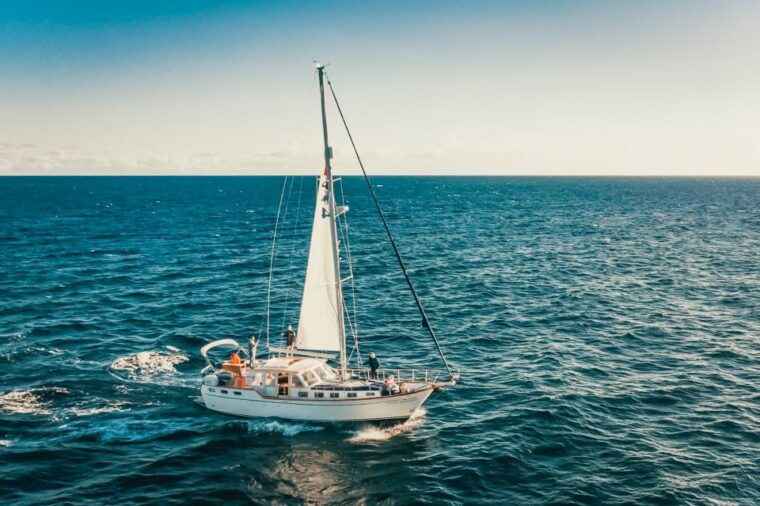funchal-dolphin-and-whale-watching-sailing-trip