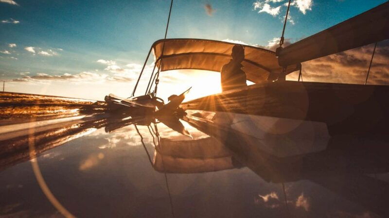 funchal-dolphin-and-whale-watching-sunset-sailing-tour