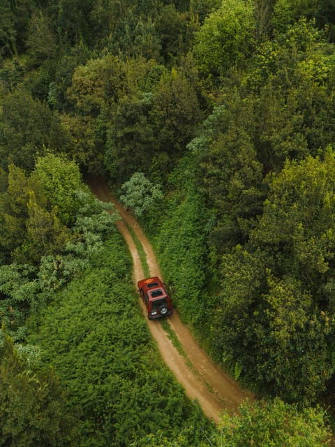 funchal-east-madeira-4x4-tour-with-pico-arieiro-w-pick-up