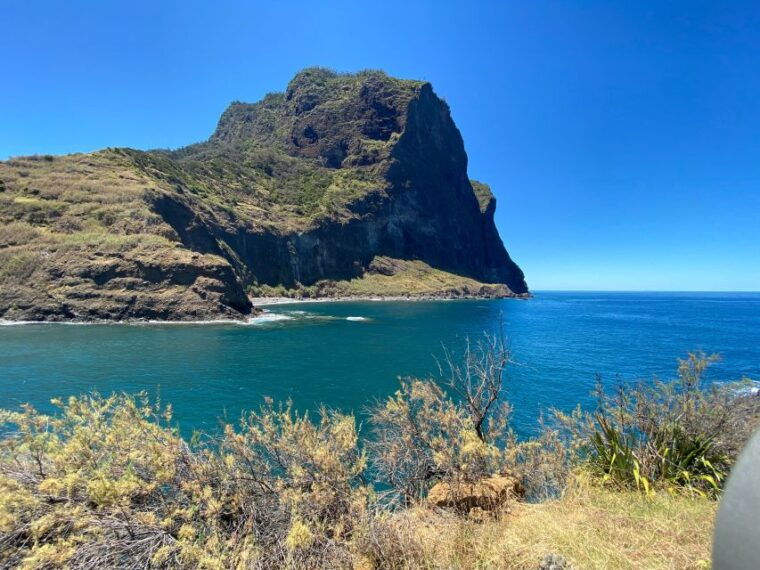 funchal-east-madeira-island-guided-tour-laurissilva-walk