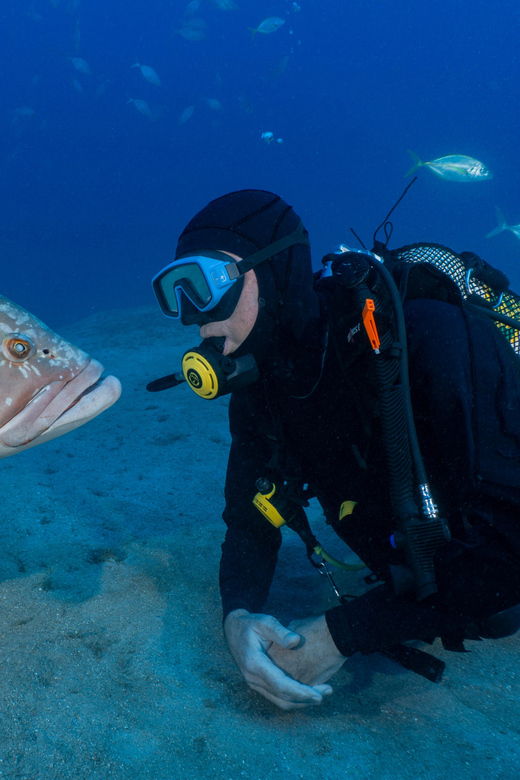 funchal-garajau-national-park-certified-divers