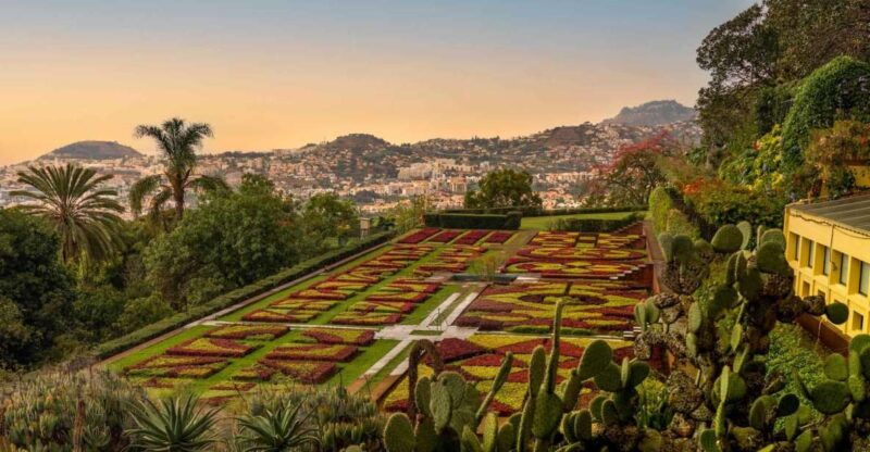 funchal-guided-old-town-tuk-tuk-tour-and-botanical-gardens