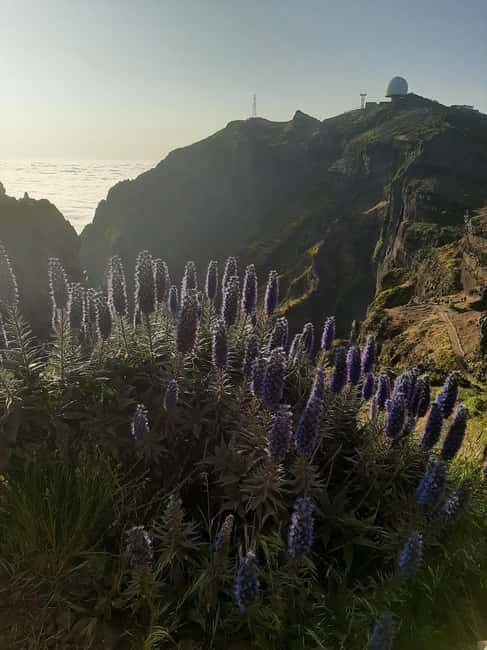 Funchal: Guided Sunrise Walk & Stairway to Heaven - The Itinerary in Detail