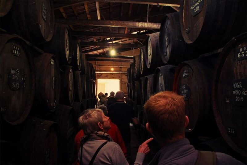 funchal-h-m-borges-winery-guided-tour-with-wine-tasting