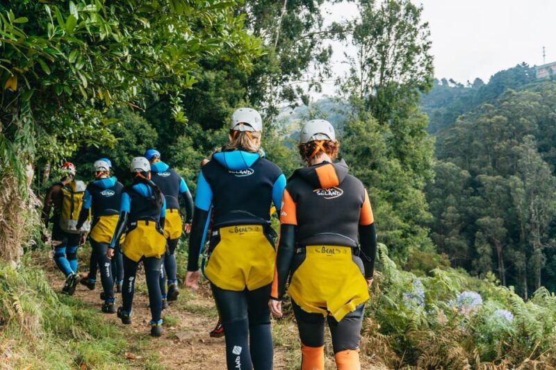 funchal-half-day-beginner-friendly-canyoning-experience