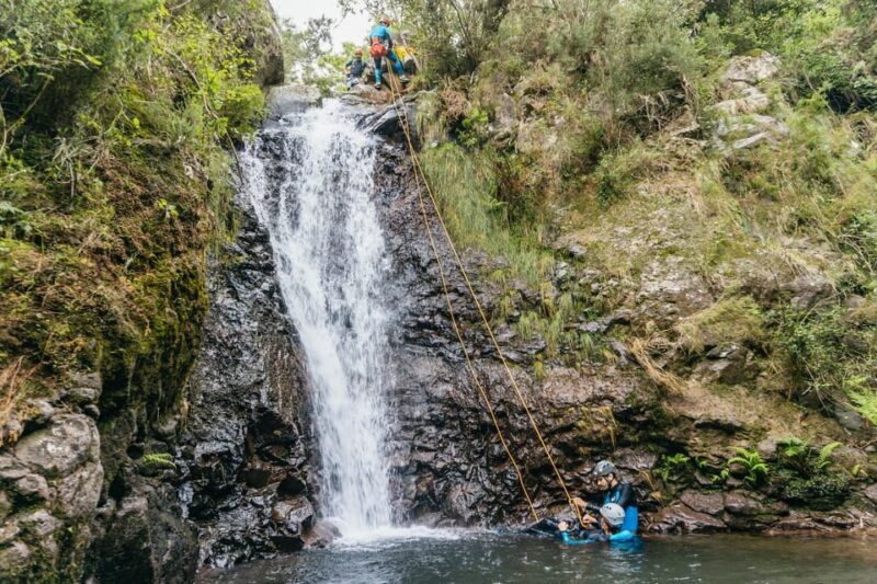 funchal-half-day-beginner-friendly-canyoning-experience