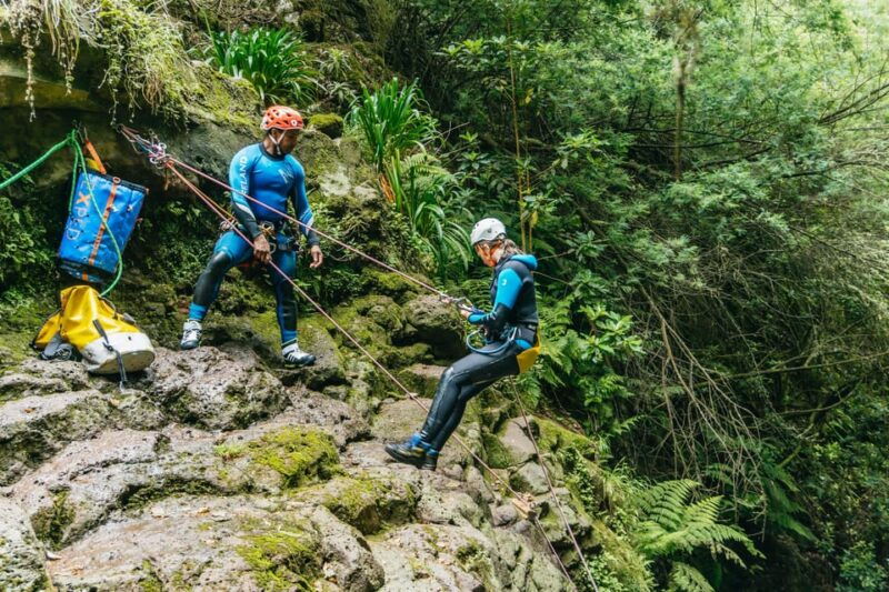 funchal-half-day-beginner-friendly-canyoning-experience