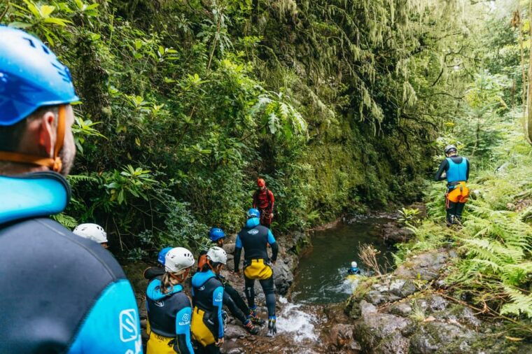 funchal-half-day-beginner-friendly-canyoning-experience
